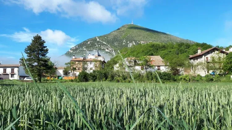 Imagen de Paisaje