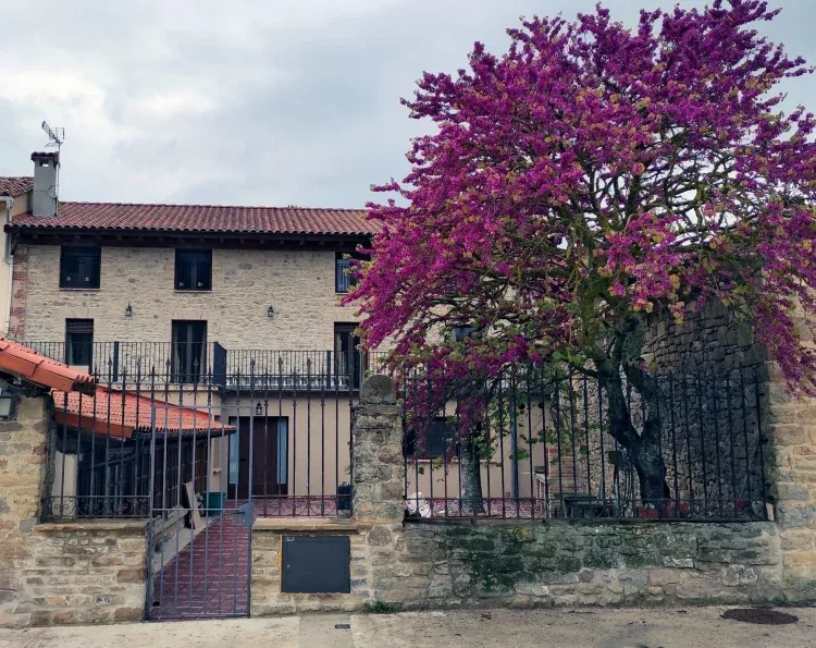 Imagen de Entrada