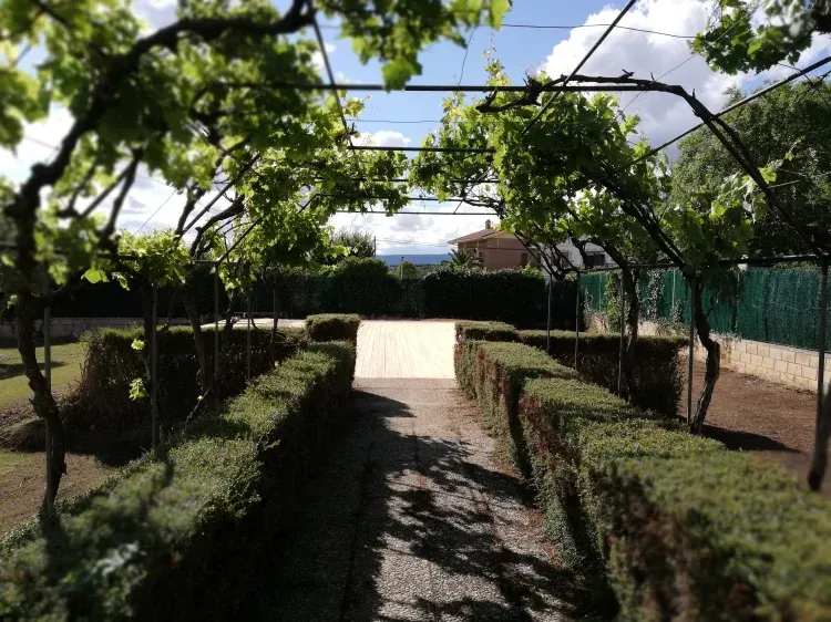 Imagen de Zona entarimada jardín