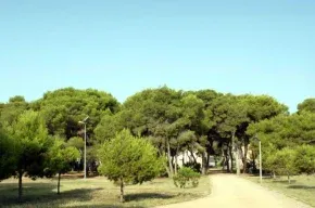 Imagen de Casa Doncella D'Amour