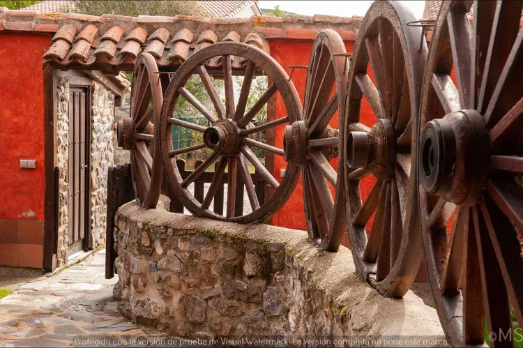 Imagen de Entrada Corva