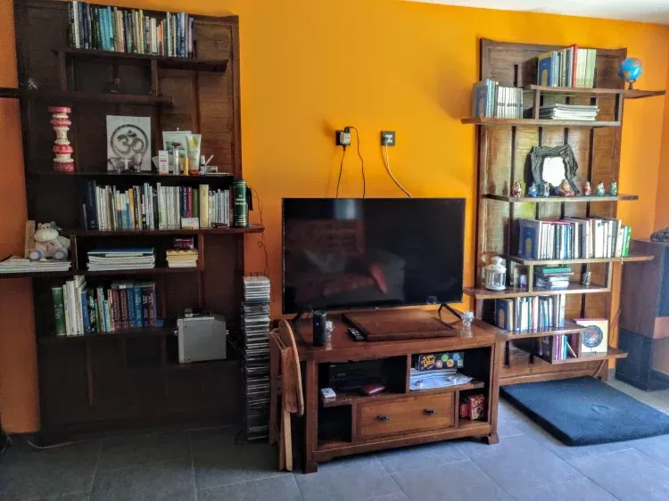 Imagen de Televisión panorámica y biblioteca