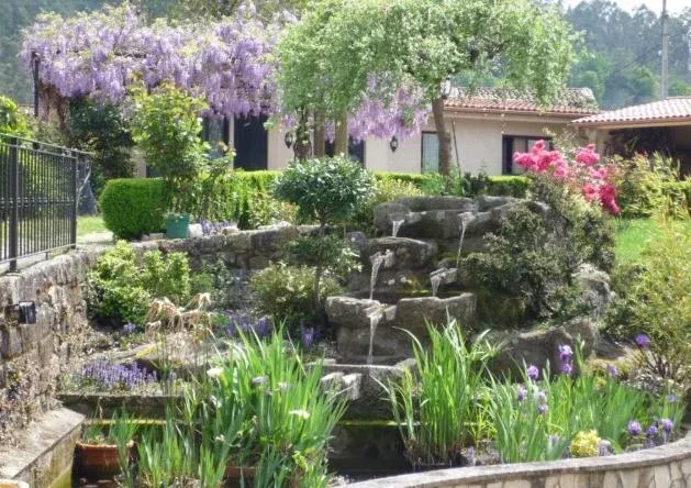 Imagen de Estanque Jardín