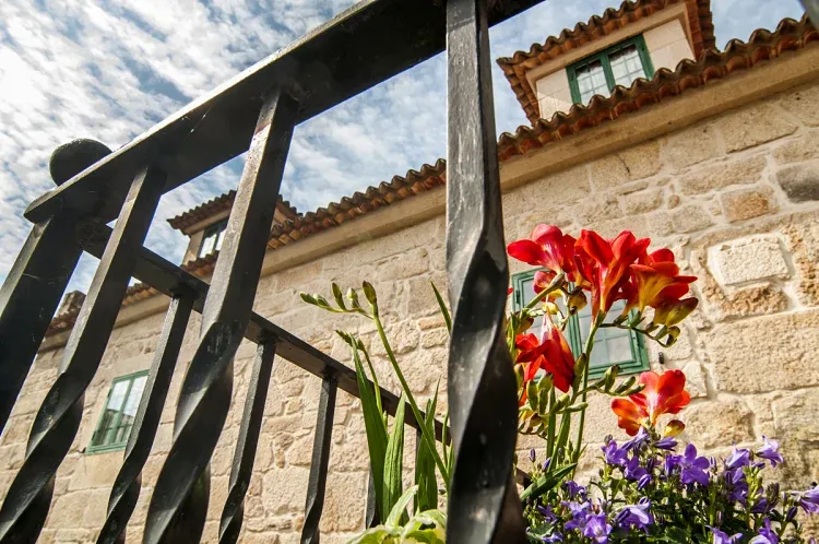 Imagen de Detalle jardin