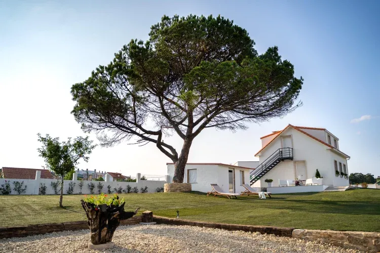 Imagen de Jardín exterior