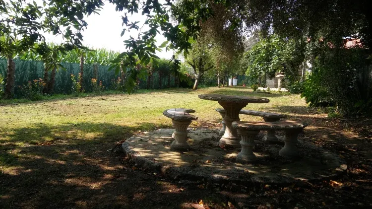 Imagen de Jardín