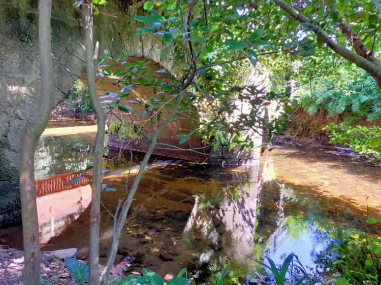 Imagen de Jardín