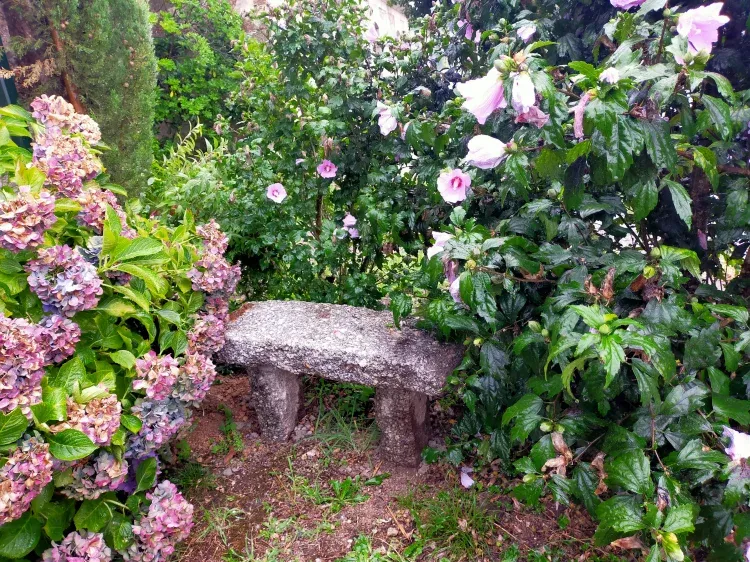 Imagen de patio
