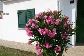 Imagen de Casa Rural San Blas