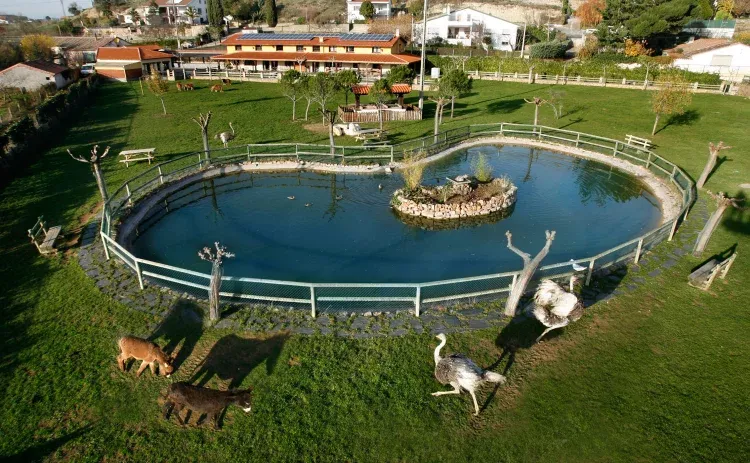 Imagen de Estanque con pesca viva.
