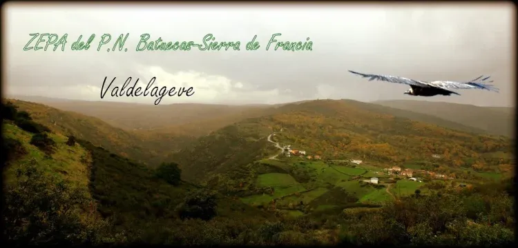 Imagen de Valdelajeve 