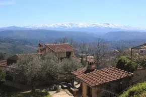 Imagen de Casa Tavera