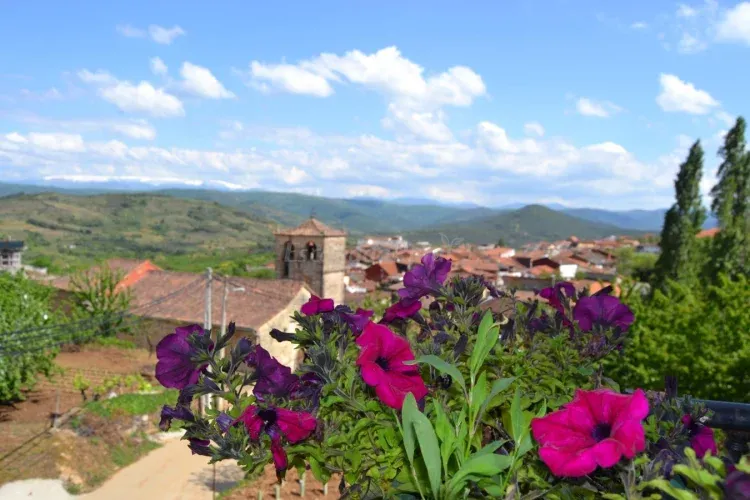 Imagen de Vistas