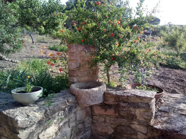 Imagen de Terraza