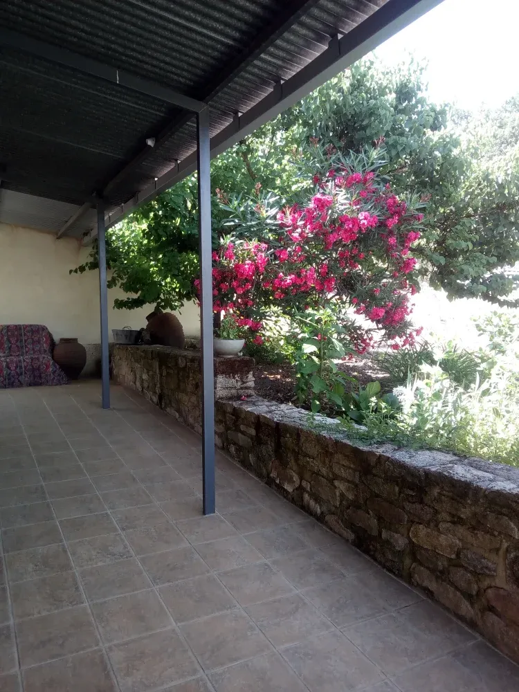 Imagen de Terraza