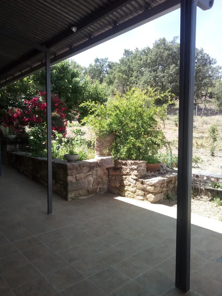 Imagen de Terraza