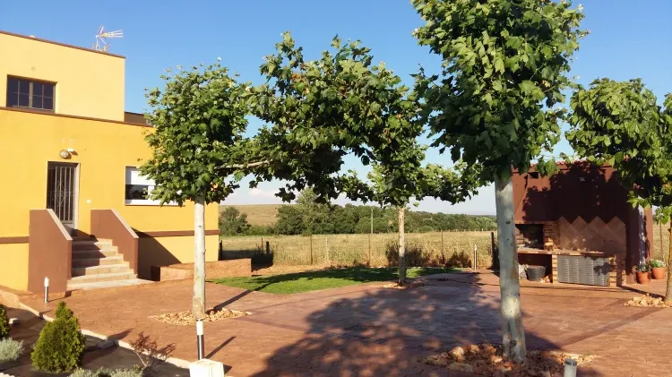Imagen de Entrada a la casa