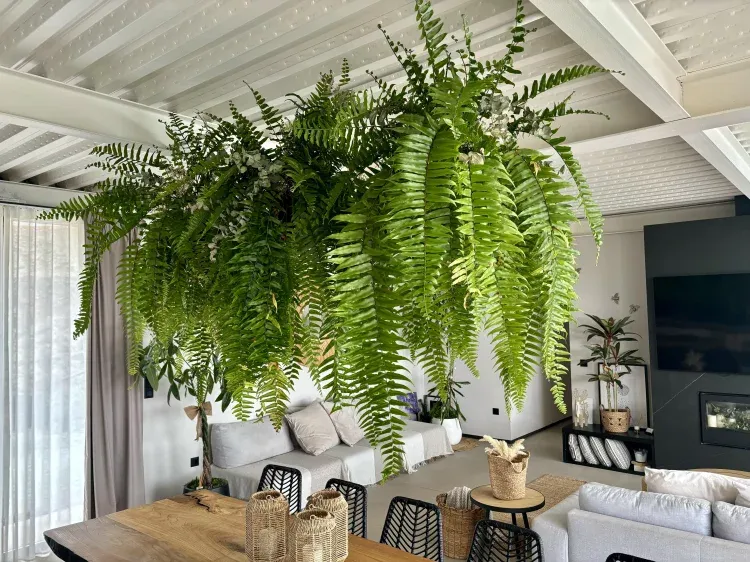 Imagen de Salón.