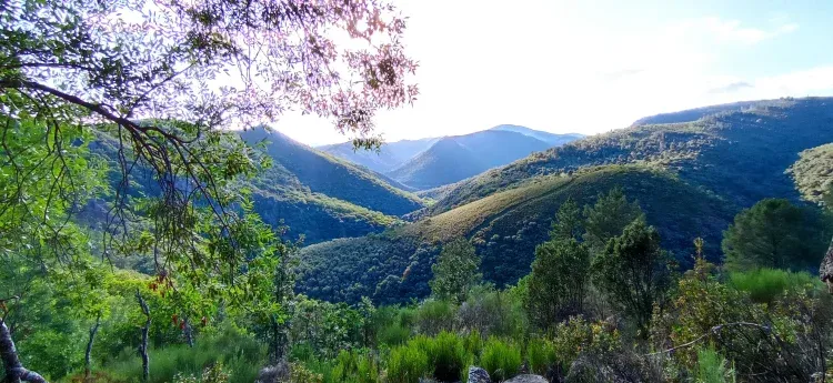 Imagen de Ruta de los Miradores