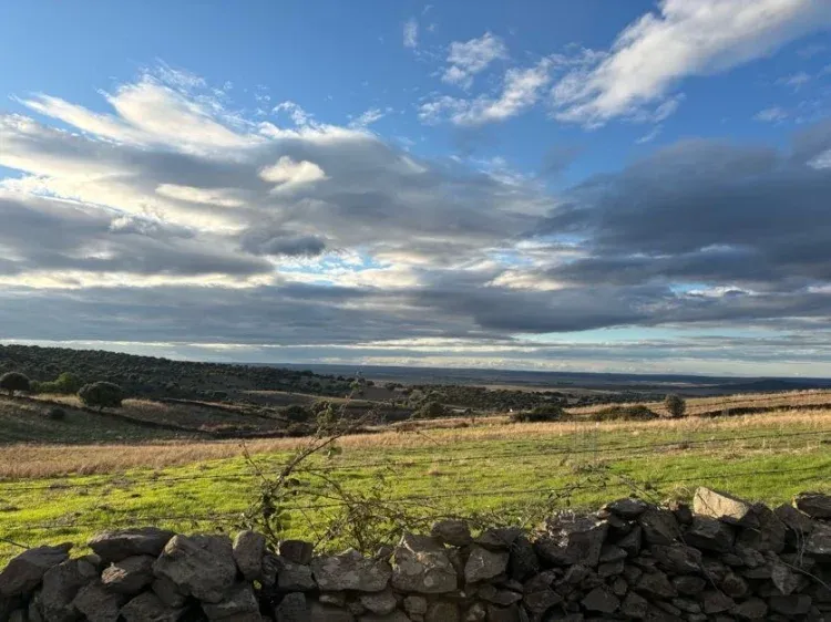 Imagen de Vistas
