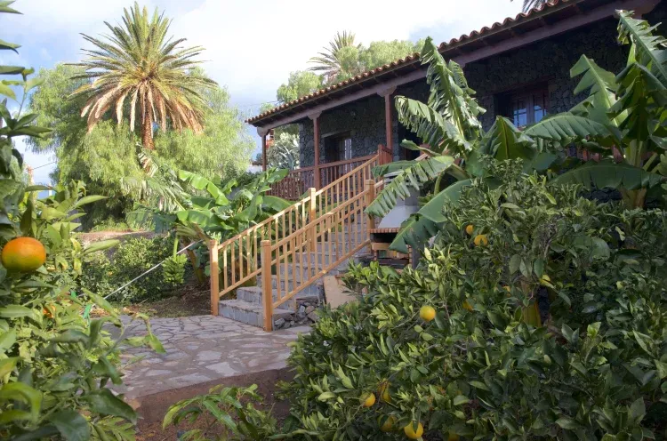 Imagen de Jardín con arboles frutales.