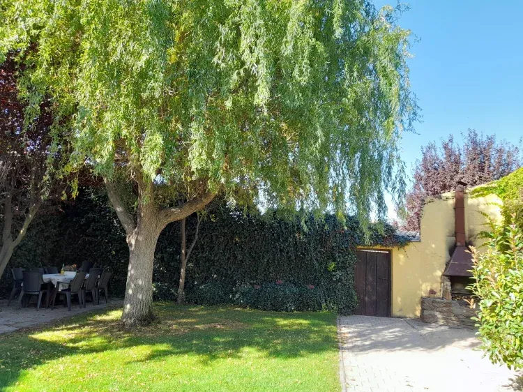 Imagen de El patio