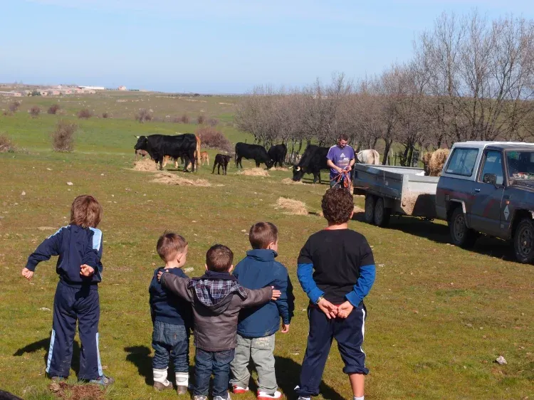 Imagen de Visita agroturismo