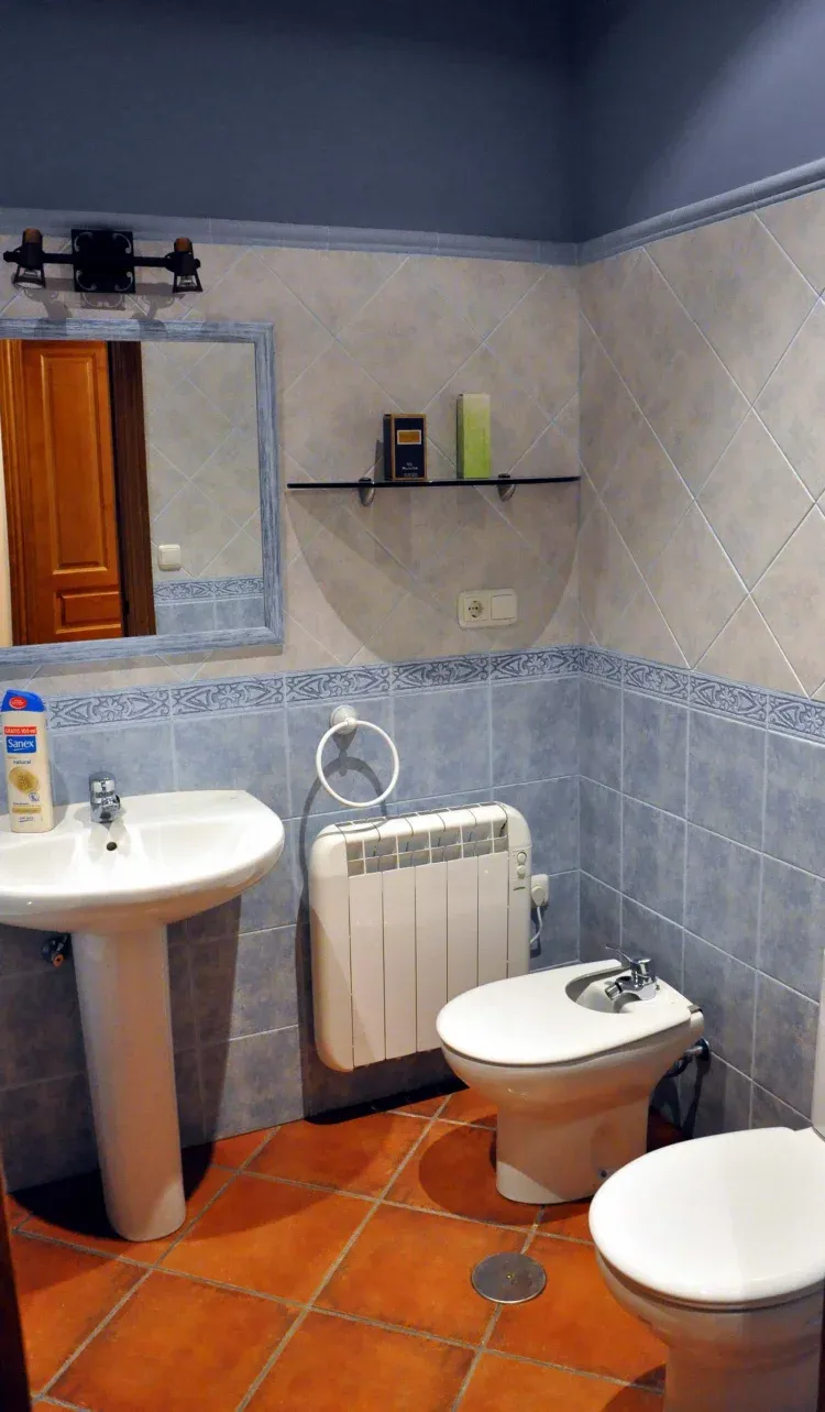 Imagen de Apt. I  baño azul