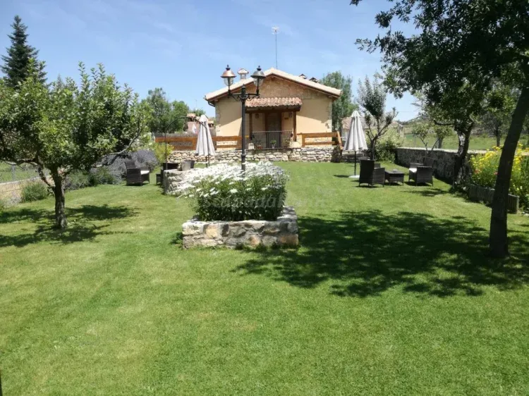 Imagen de Lavanda desde el jardín común