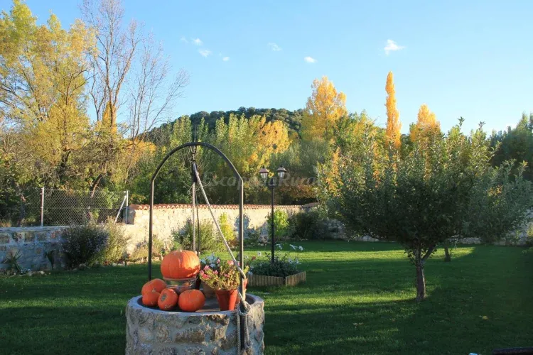 Imagen de Jardín común