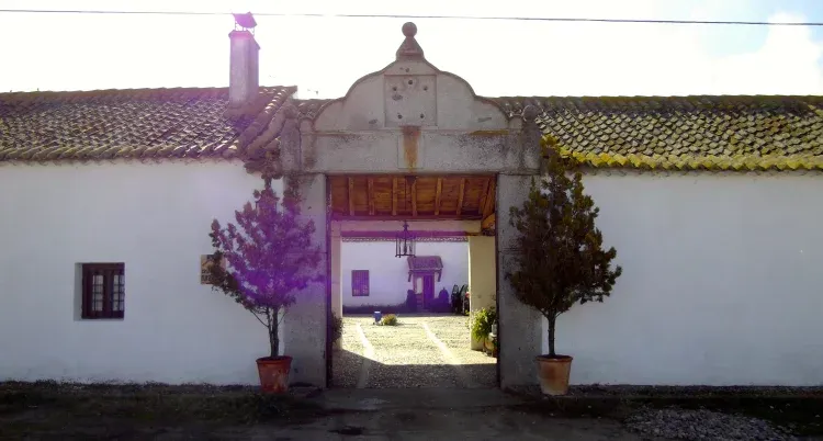Imagen de Entrada