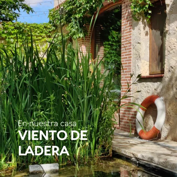 Imagen de En todo año el jardín es un gozón...