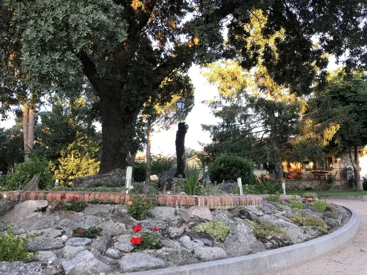 Imagen de Jardín