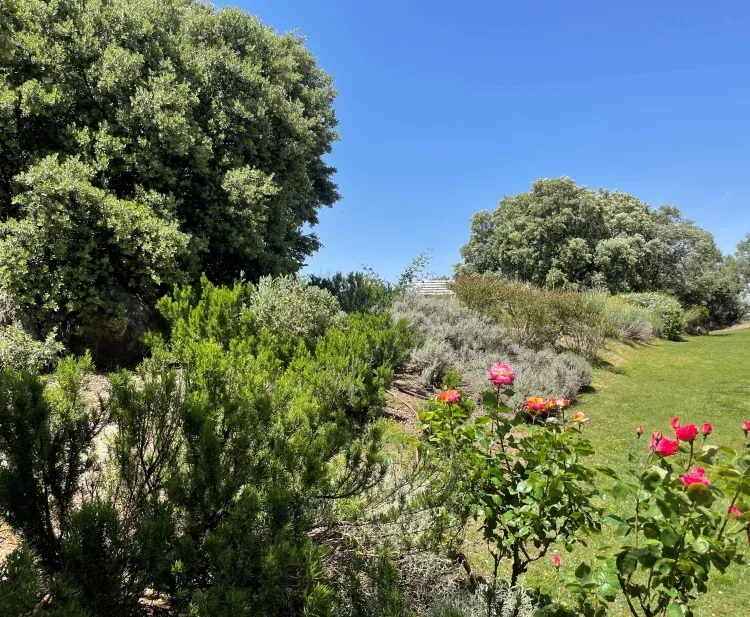 Imagen de Jardín