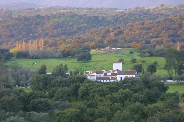 Imagen de Panoramica
