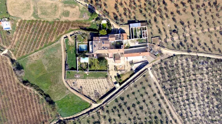 Imagen de Ortofoto