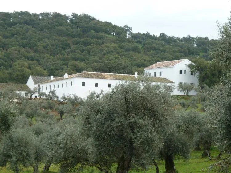 Imagen de Vista del Cortijo
