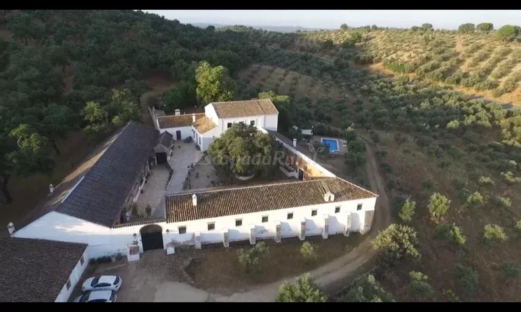 Imagen de Vista cortijo