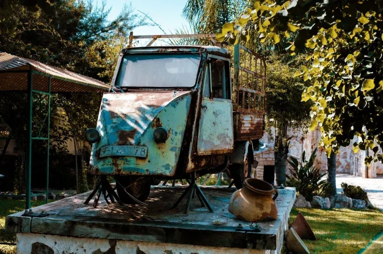 Imagen de Jardines
