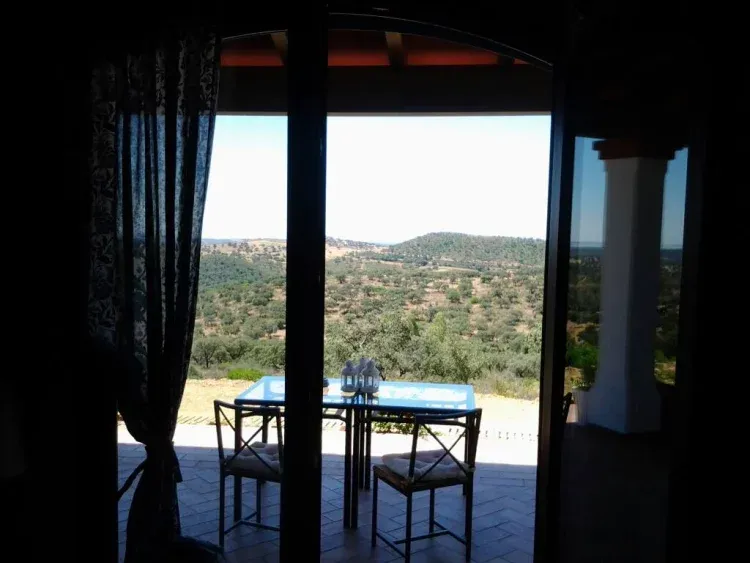 Imagen de Estas son parte de las vistas desde el salón de la casa