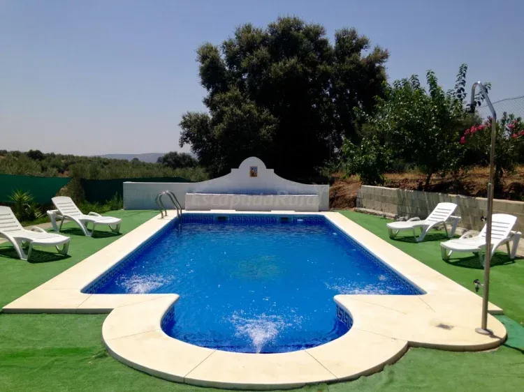 Imagen de Piscina salina con luces de colores de 8x4Zona de piscina