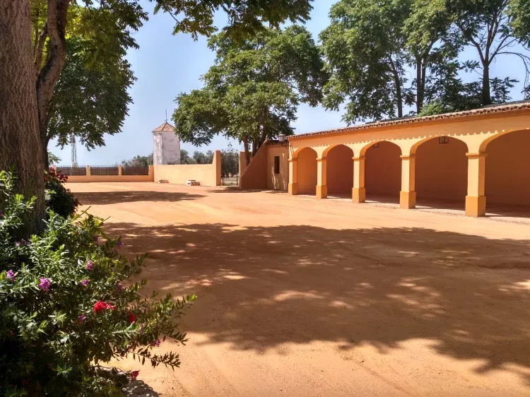 Imagen de Patio de albero