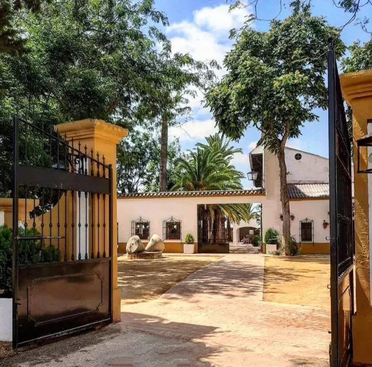 Imagen de Acceso a Finca. Patio de albero