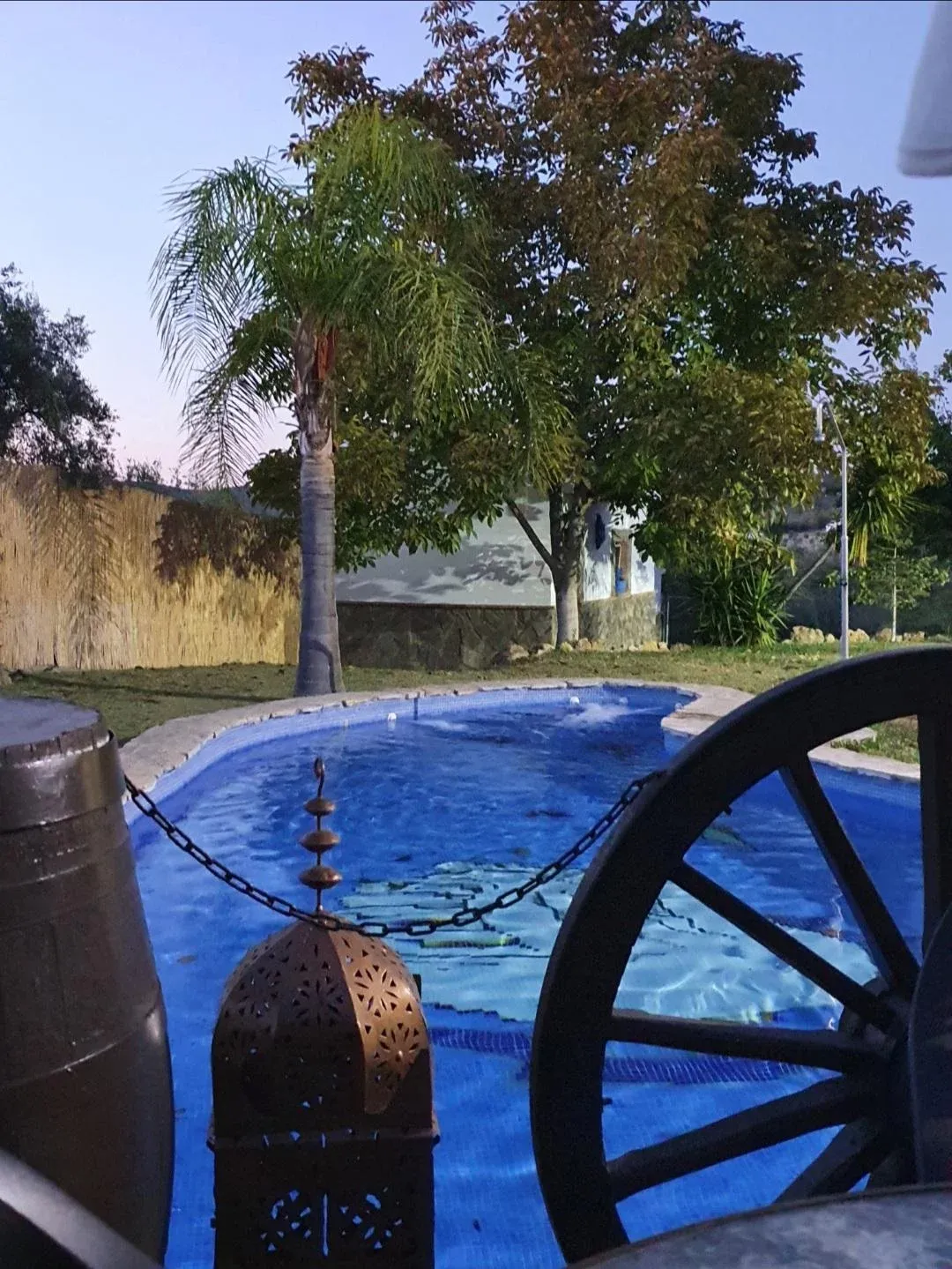 Imagen de Jardín