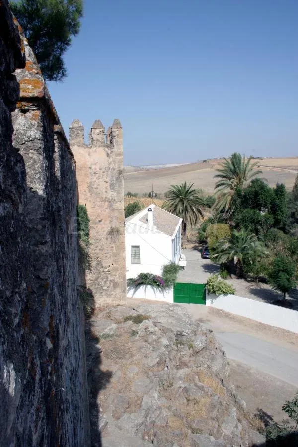 Imagen de Al pie del castillo.