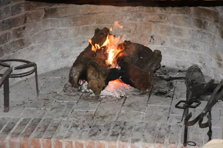 Imagen de La liturgia del fuego.