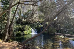 Imagen de Casa Rural Nacimiento del Hueznar-23