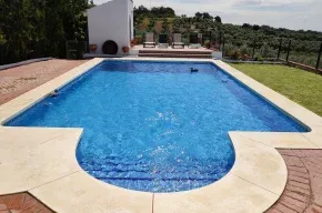 Imagen de Colladopino
