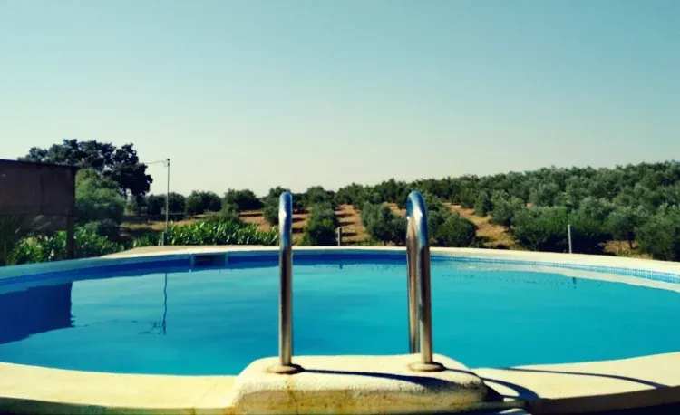 Imagen de la piscina y su entorno