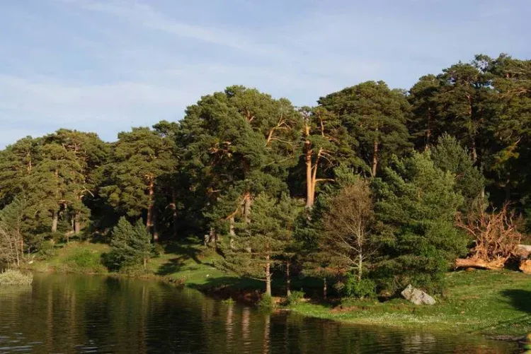 Imagen de Embalse de la Cuerda del Pozo